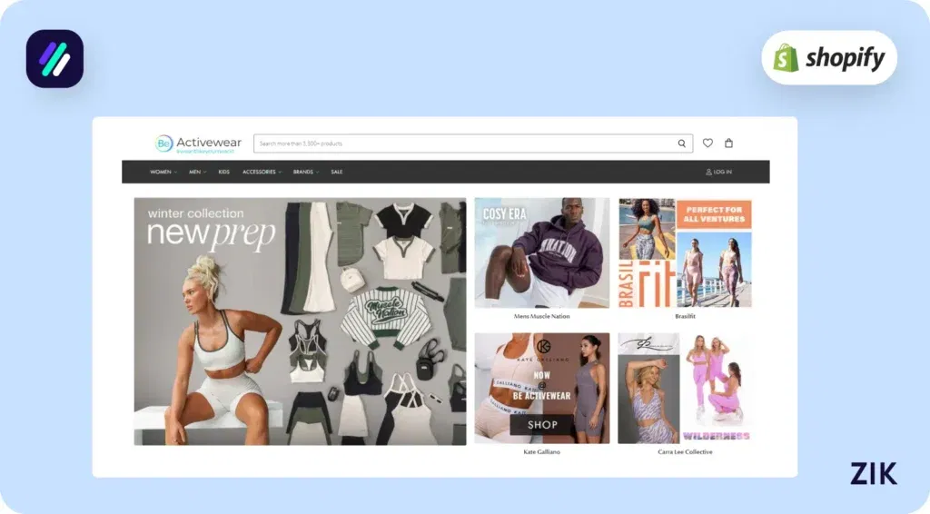 Dropshipping Business