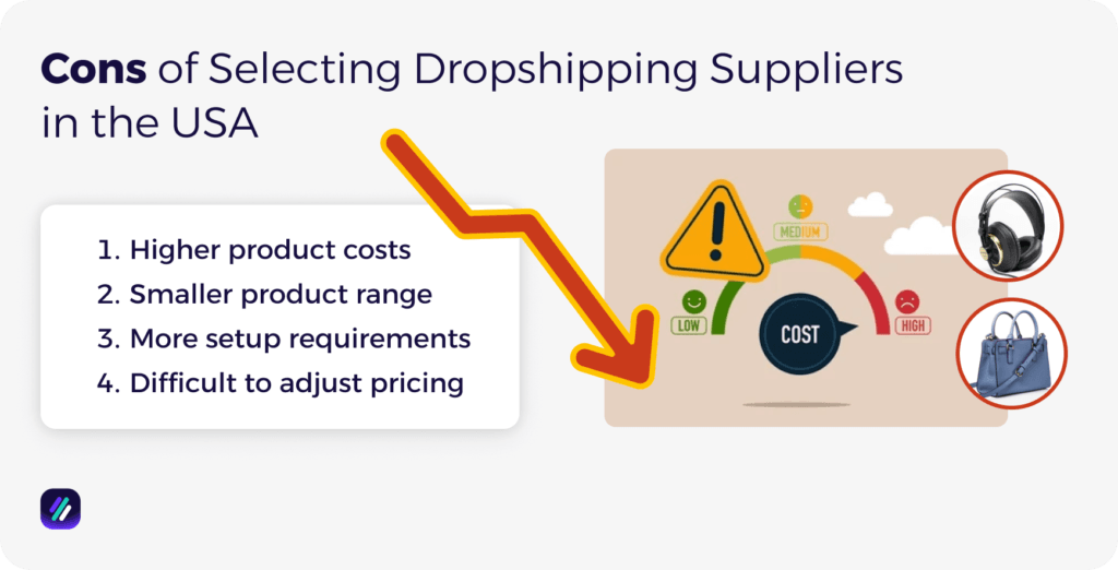 Cons of Selecting Dropshipping Suppliers in the USA