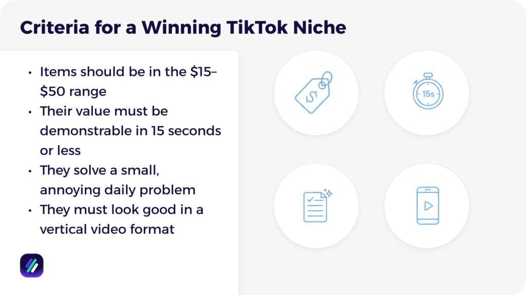 Criteria for a Winning TikTok Niche