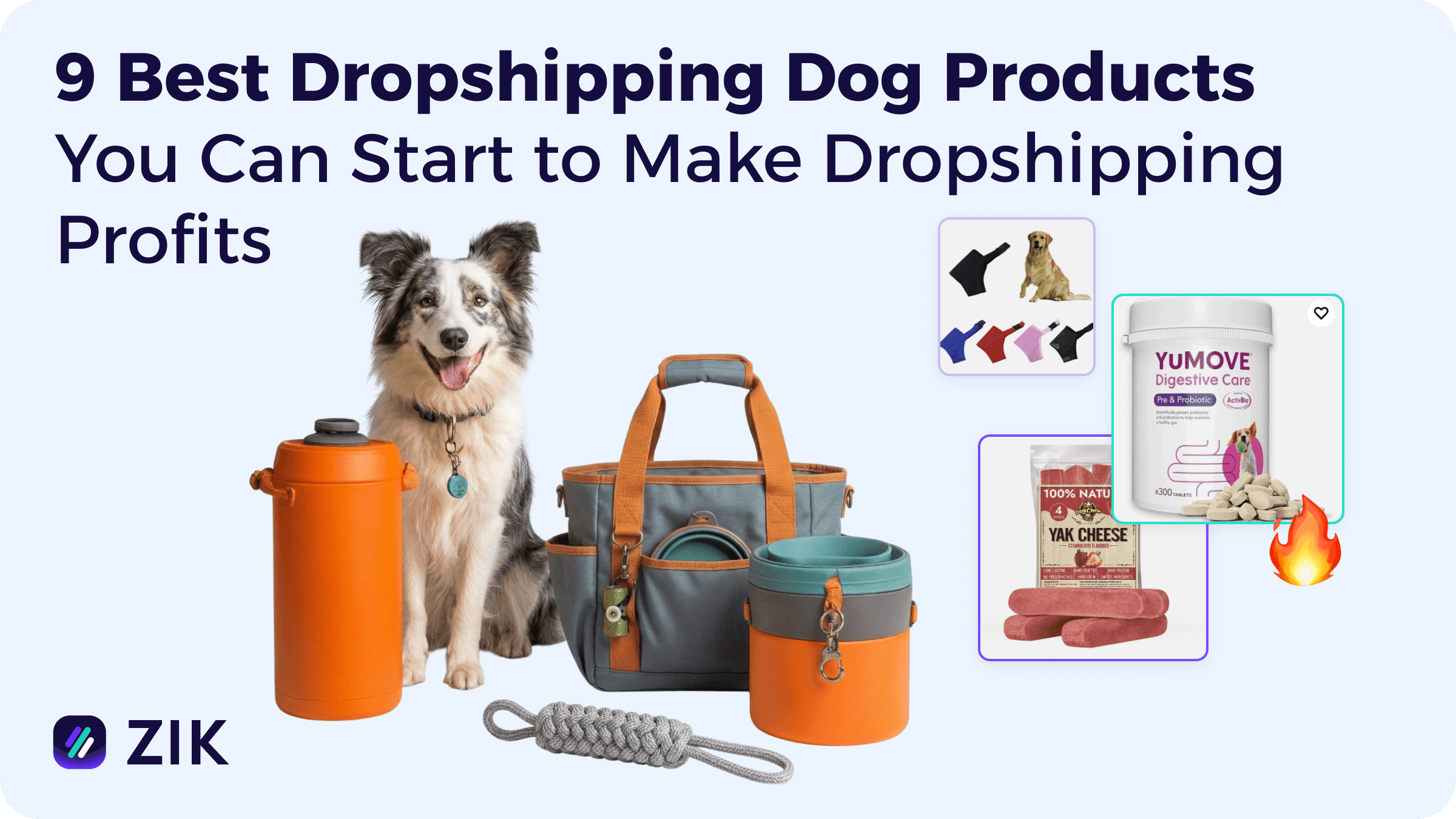 dropshipping dog products