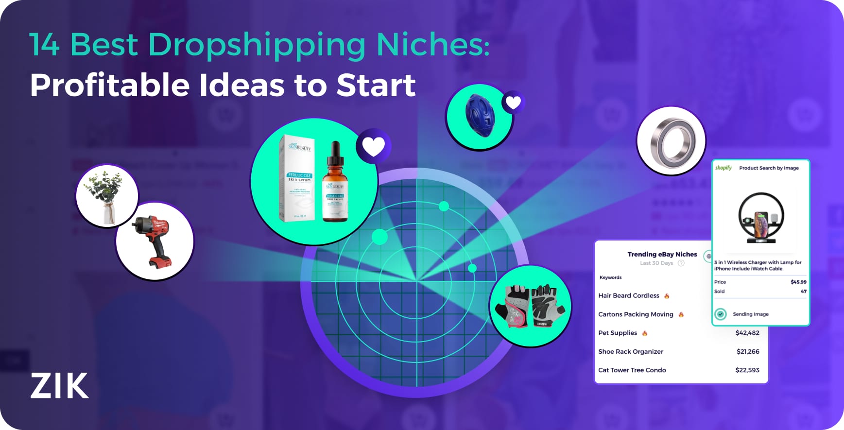 dropshipping niches