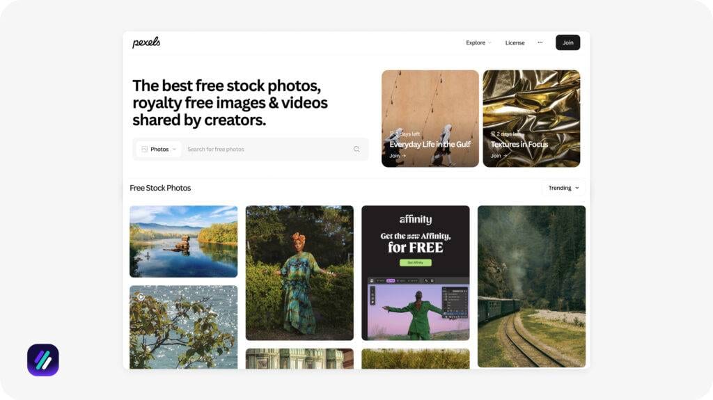 one of the best dropshipping software for content and creatives is Pexels