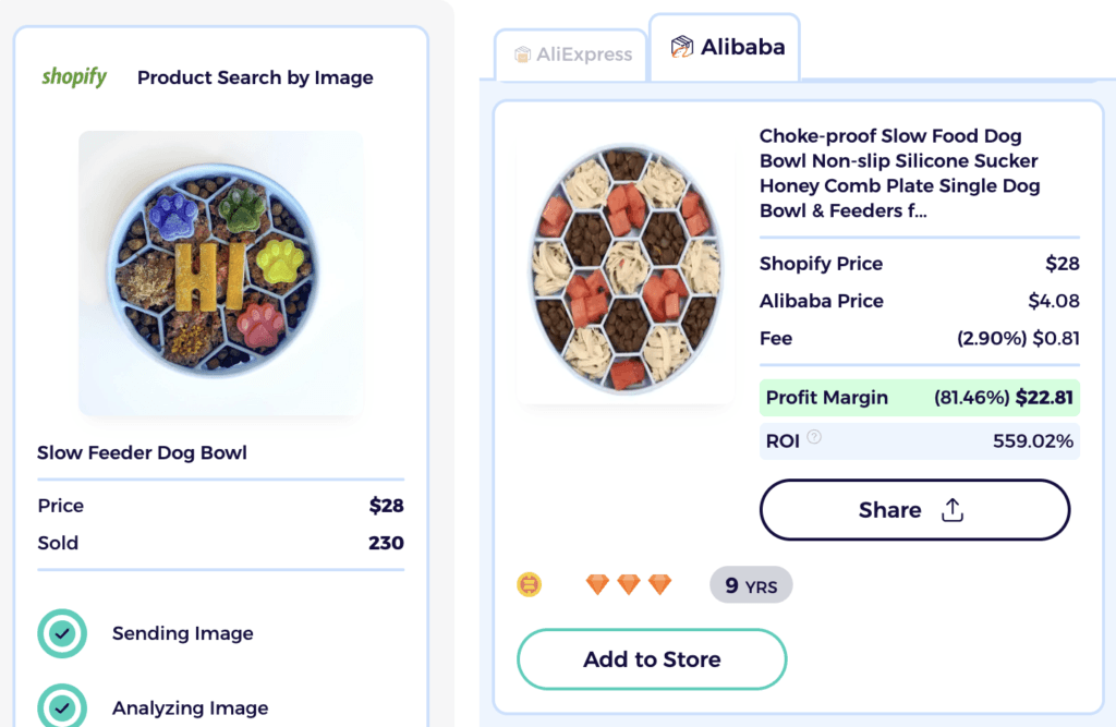 slow feeder dog bowl dropshipping dog products