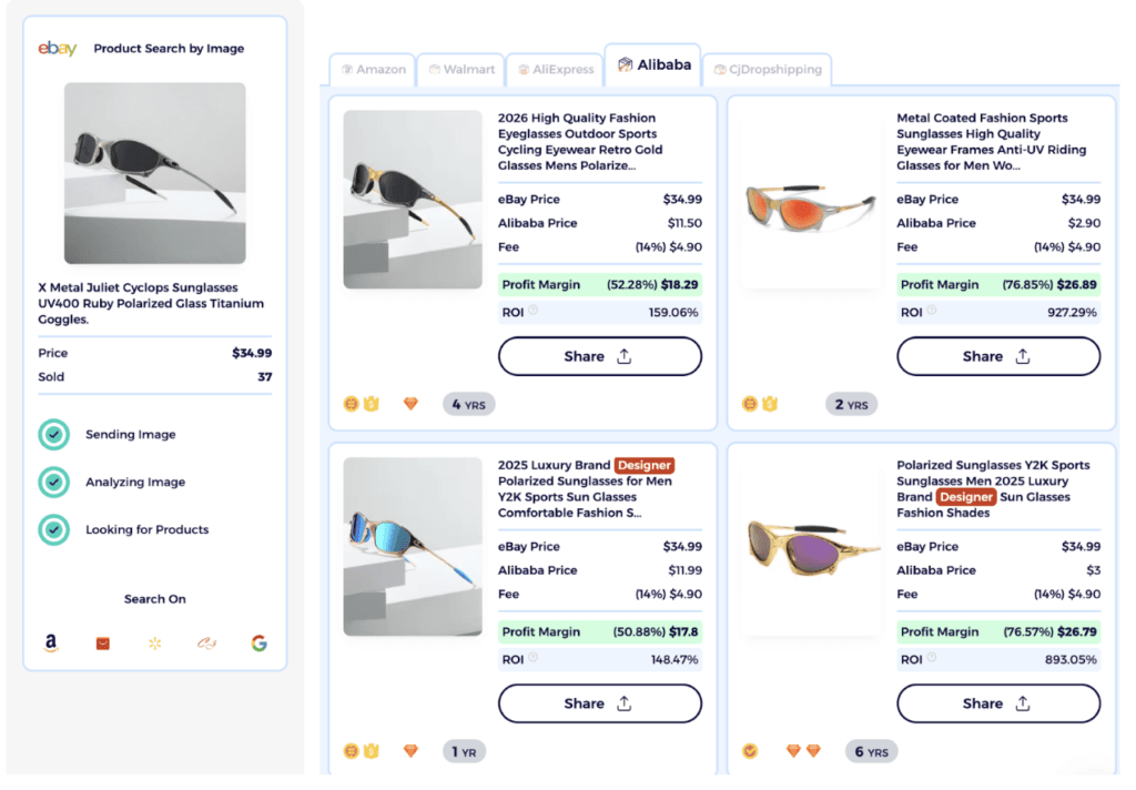 sunglasses dropshipping potential ROI data