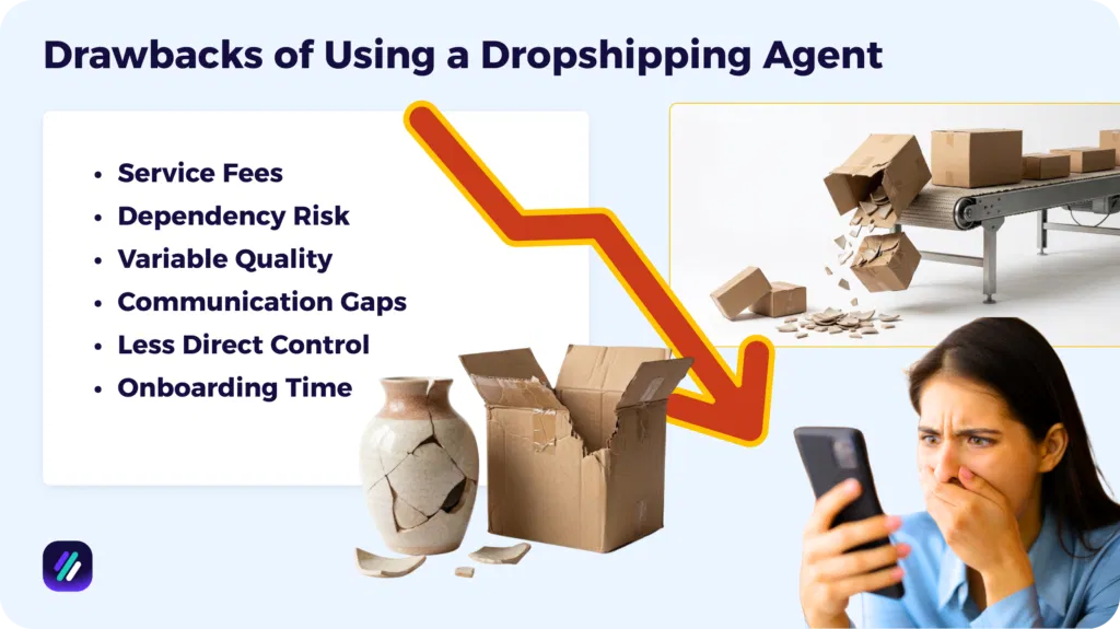 Drawbacks of Using a Dropshipping Agent