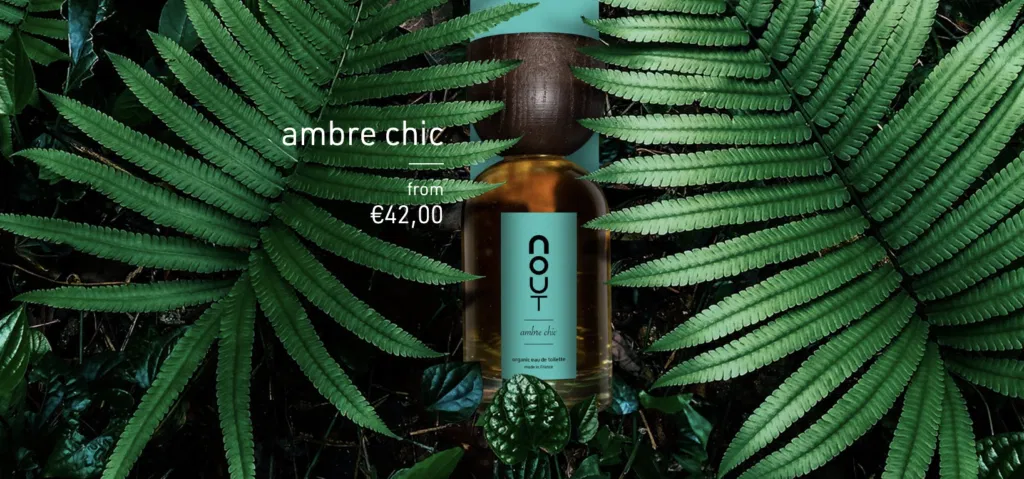 best perfume dropshipping niche natural and organic