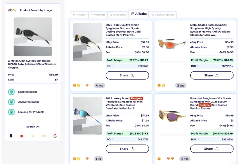 sunglasses dropshipping potential ROI data